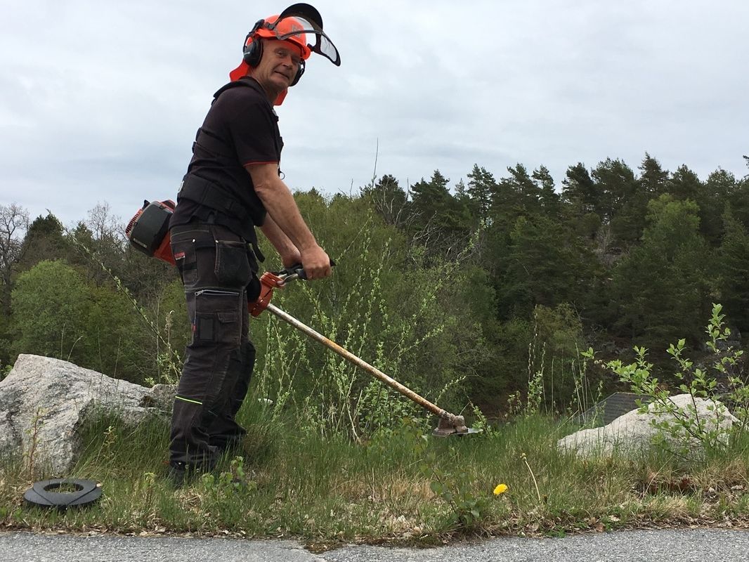 Hyr röjsåg hos Andrésen Skog & Trädgård